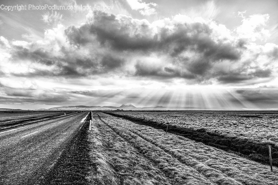 Road, Countryside, Nature, Outdoors, Field