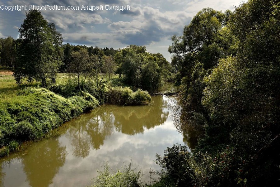 Outdoors, River, Water, Flora, Forest