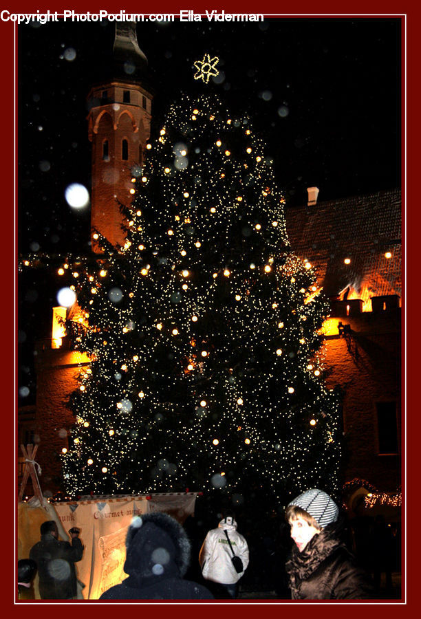People, Person, Human, Night, Outdoors, Teddy Bear, Toy