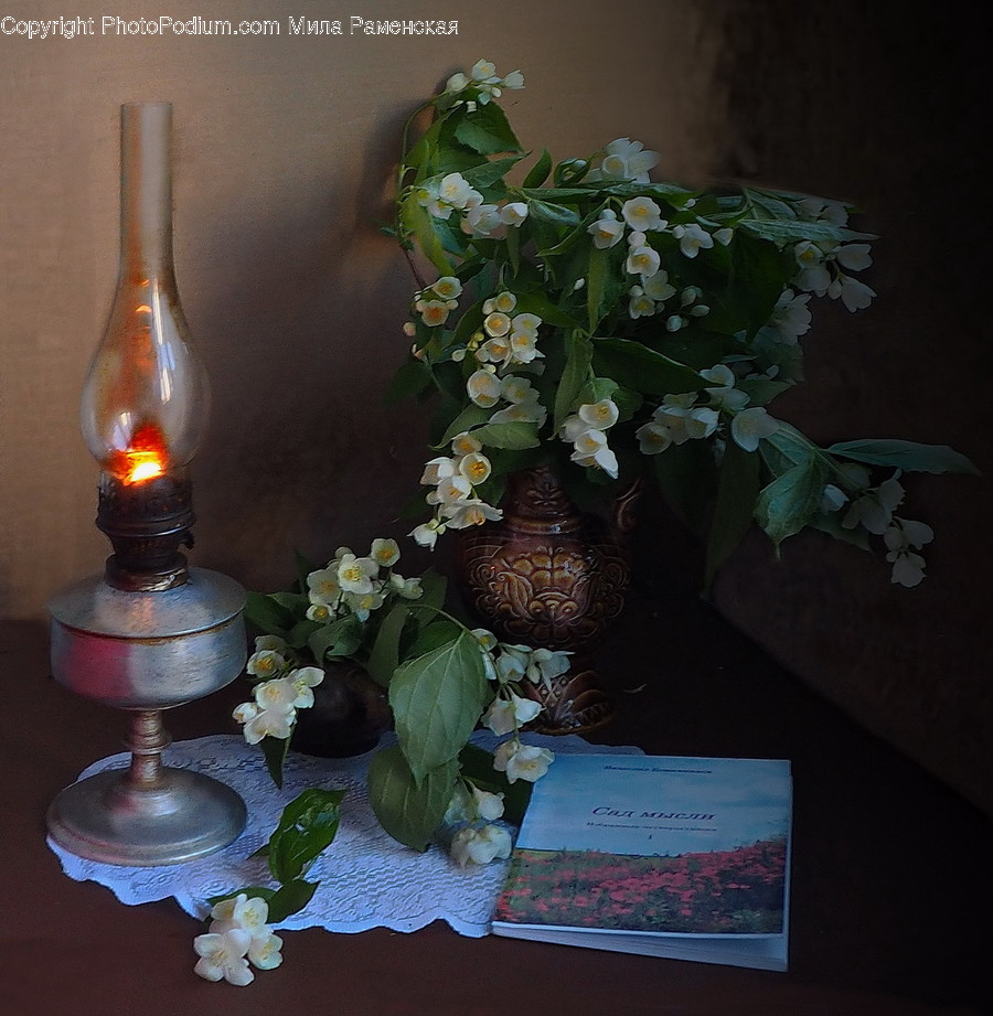 Flora, Jar, Plant, Potted Plant, Pottery