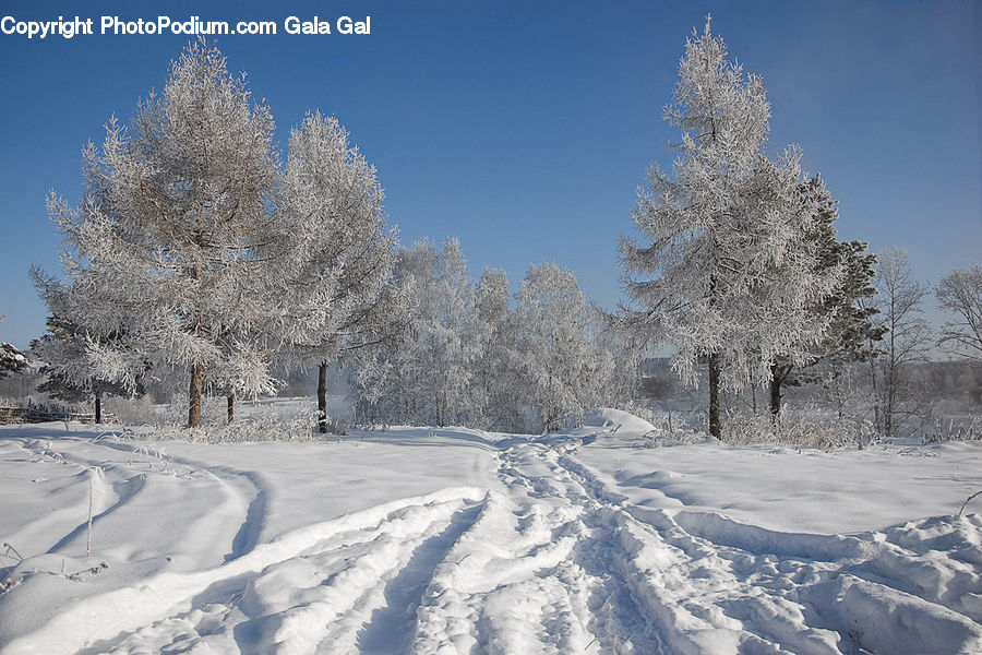 Blizzard, Outdoors, Snow, Weather, Winter, Frost, Ice