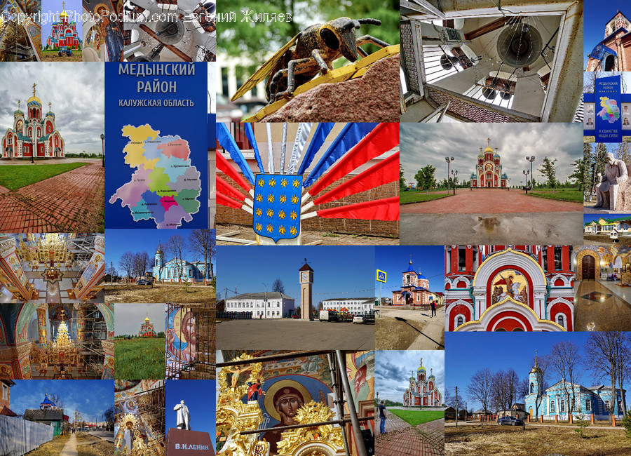 Collage, Poster, Animal, Bird, Sparrow