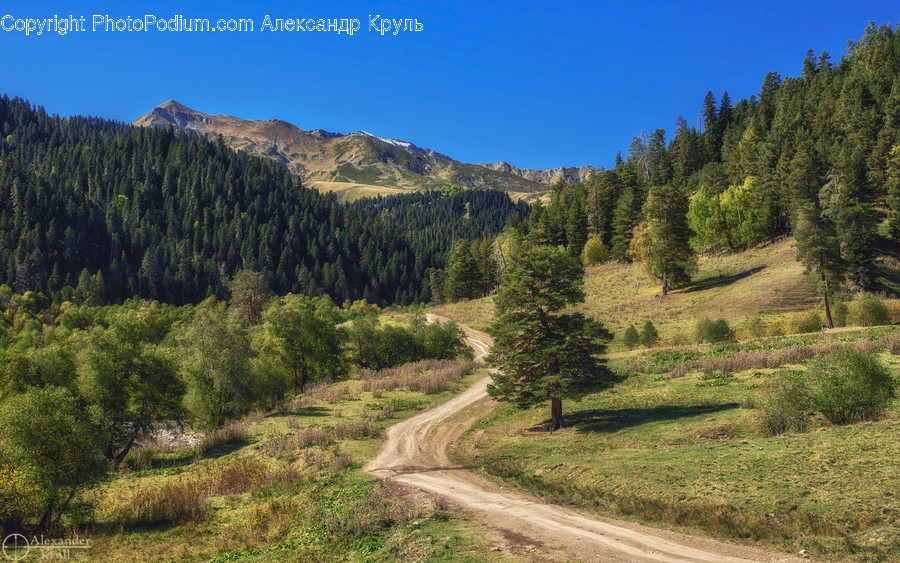 Outdoors, Wilderness, Dirt Road, Gravel, Road