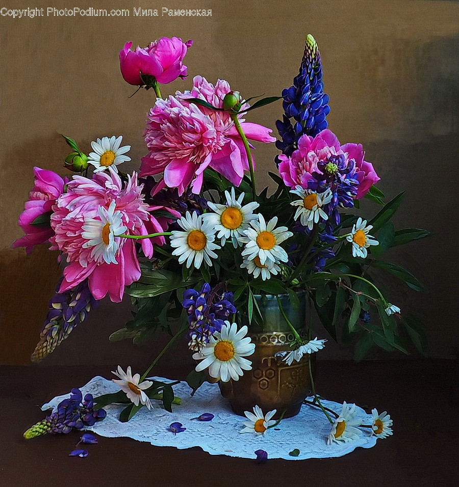 Flora, Jar, Plant, Potted Plant, Pottery
