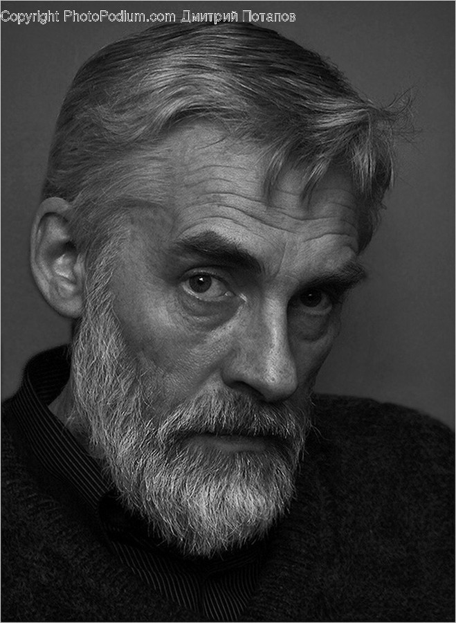 Human, People, Person, Face, Portrait
