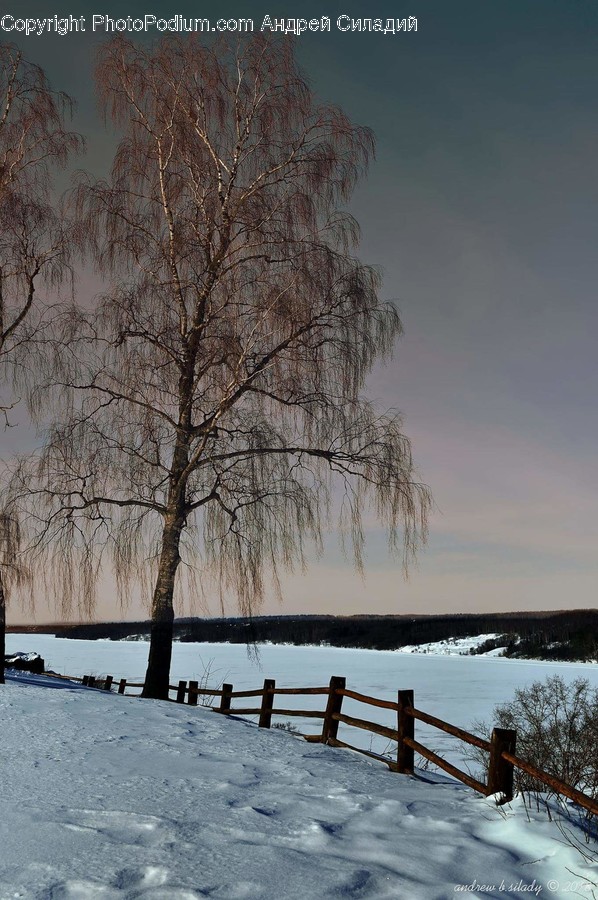 Landscape, Nature, Outdoors, Scenery, Bench