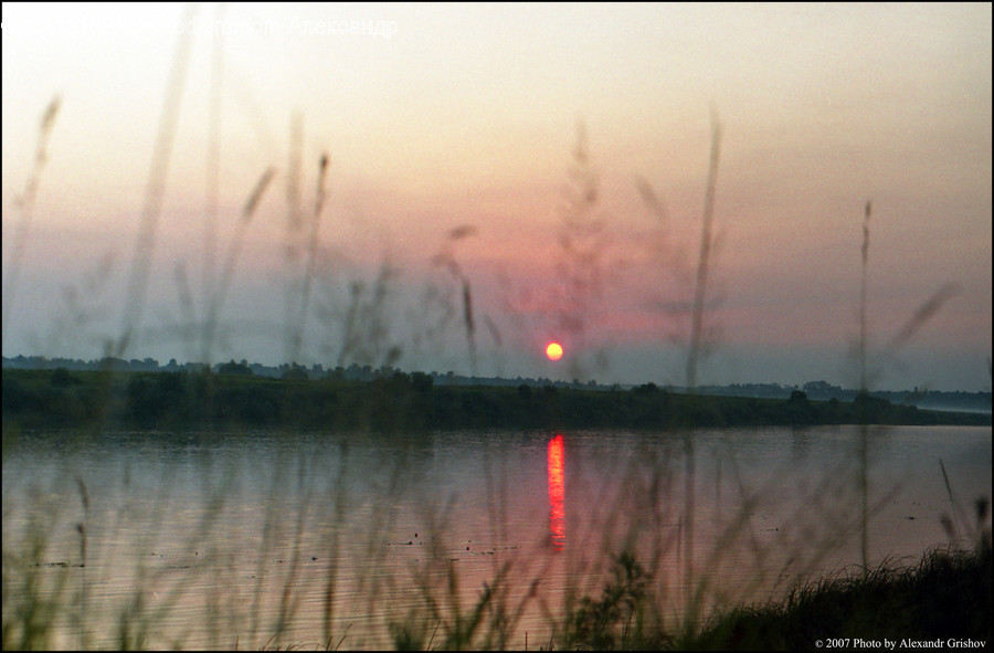 Fog, Nature, Weather, Dawn, Dusk