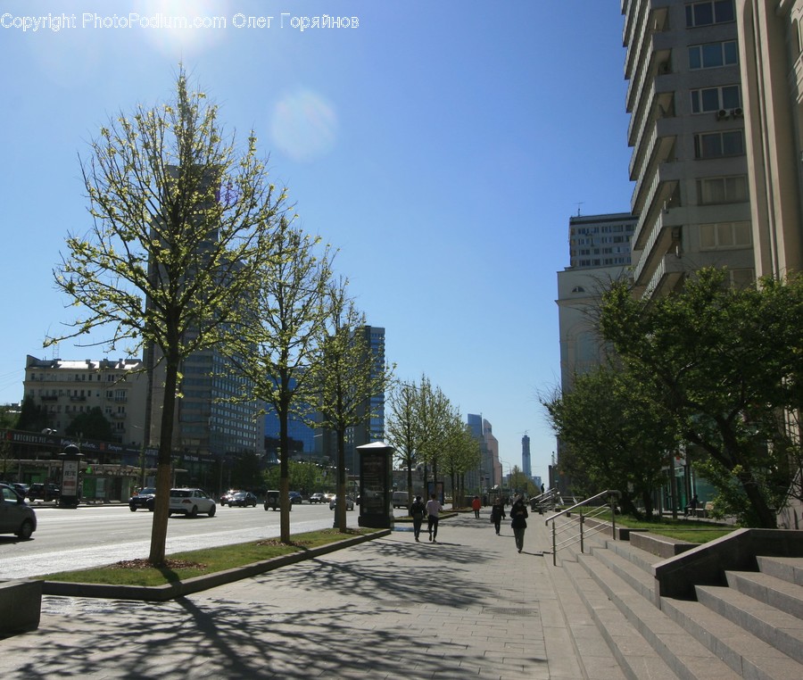 Building, Housing, Apartment Building, City, High Rise