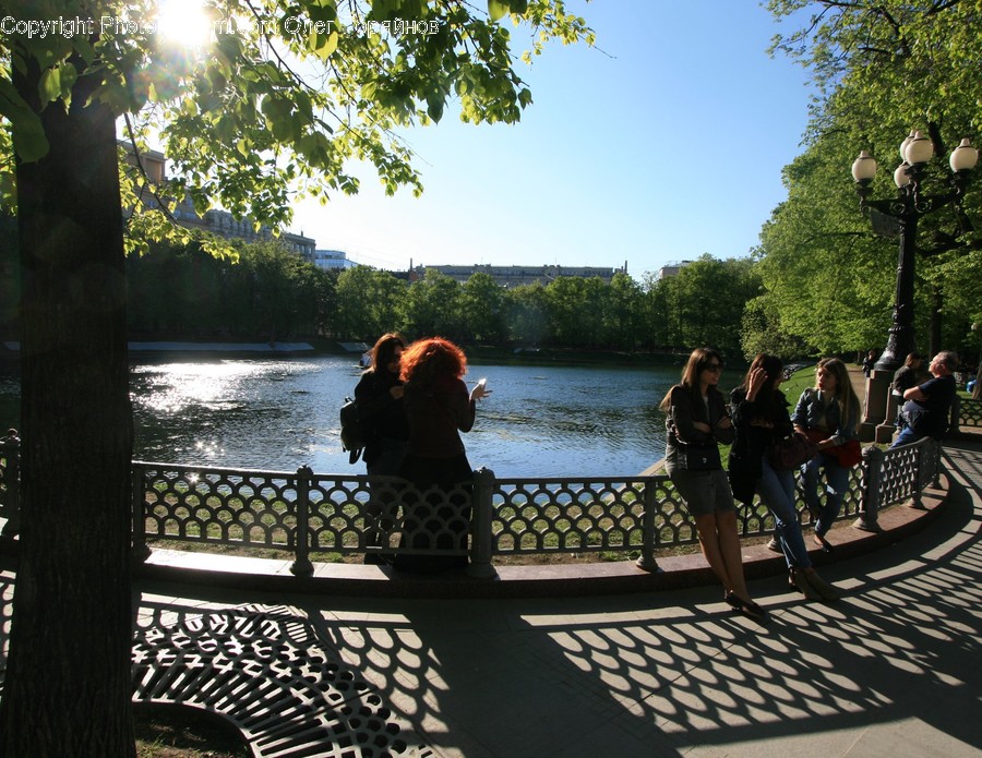 Human, People, Person, Sunlight, Flora
