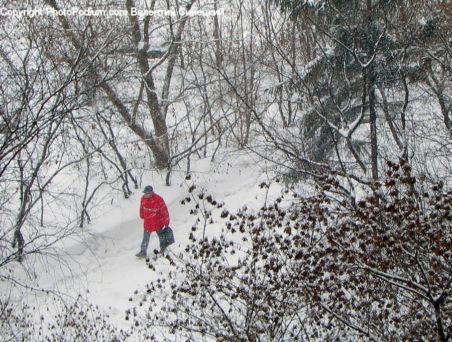 Leisure Activities, Walking
