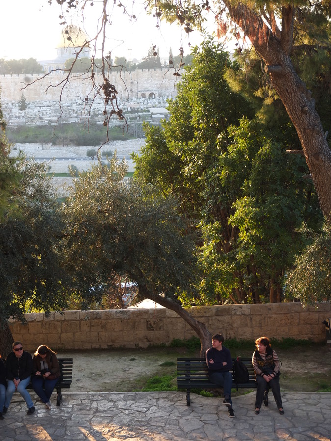 Bench, Leisure Activities, Walking, Campus, Dirt Road