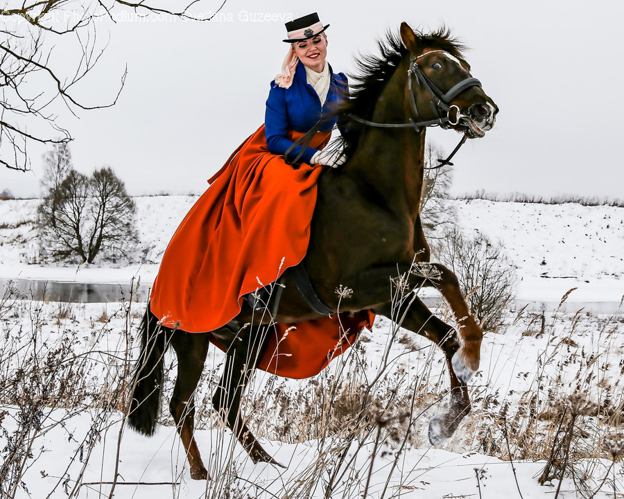 Human, People, Person, Animal, Equestrian