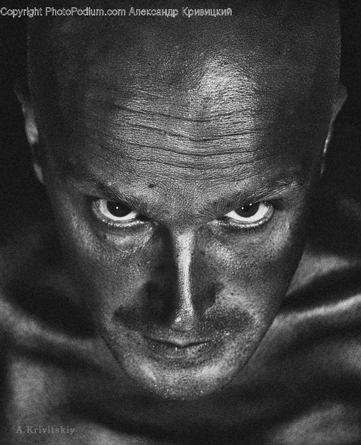 Face, Human, Person, Portrait, Head
