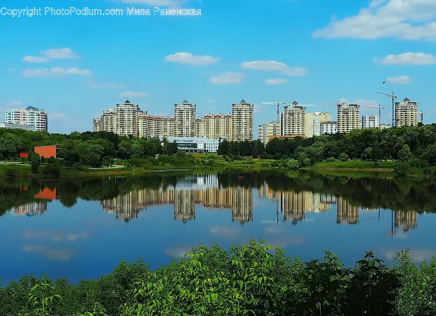 Outdoors, Pond, Water, Flora, Plant