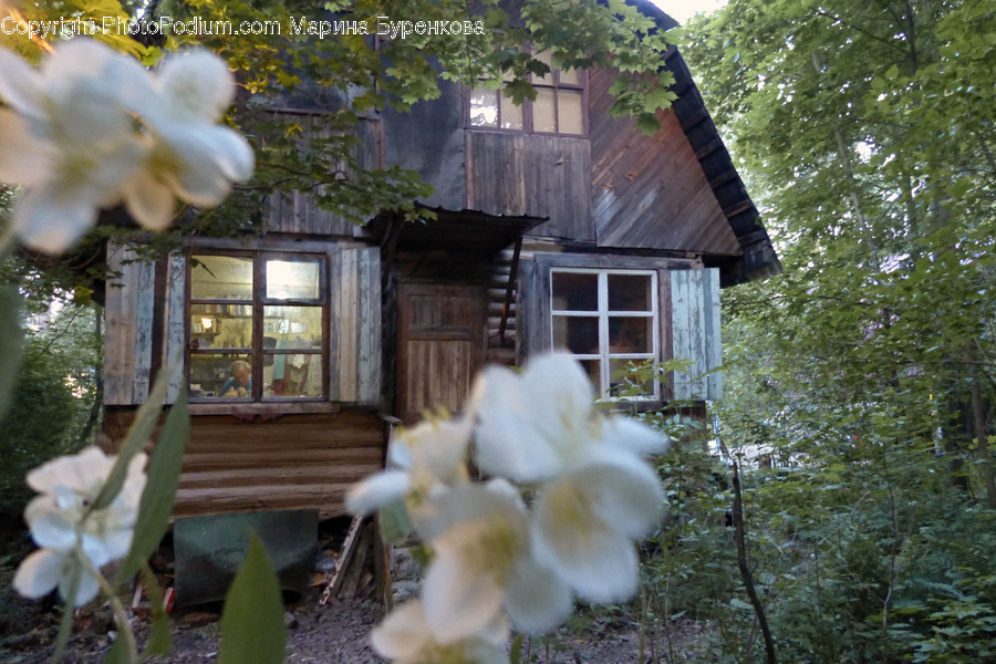 Building, Cottage, House, Housing, Countryside