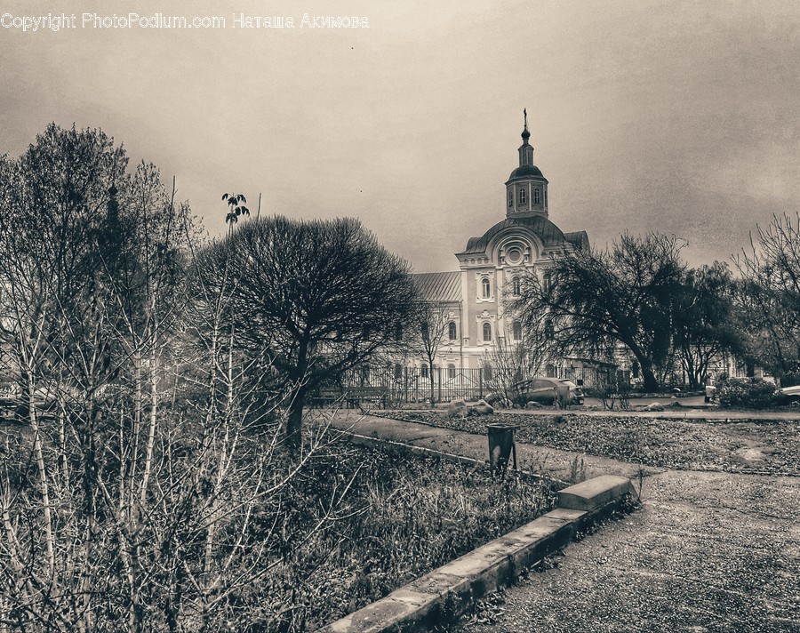 Building, House, Housing, Mansion, Architecture
