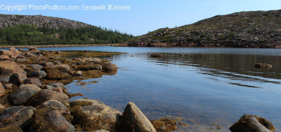Rock, Coast, Nature, Ocean, Outdoors