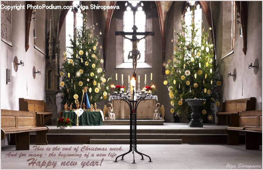 Plant, Potted Plant, Altar, Architecture, Chest, Furniture, Bench