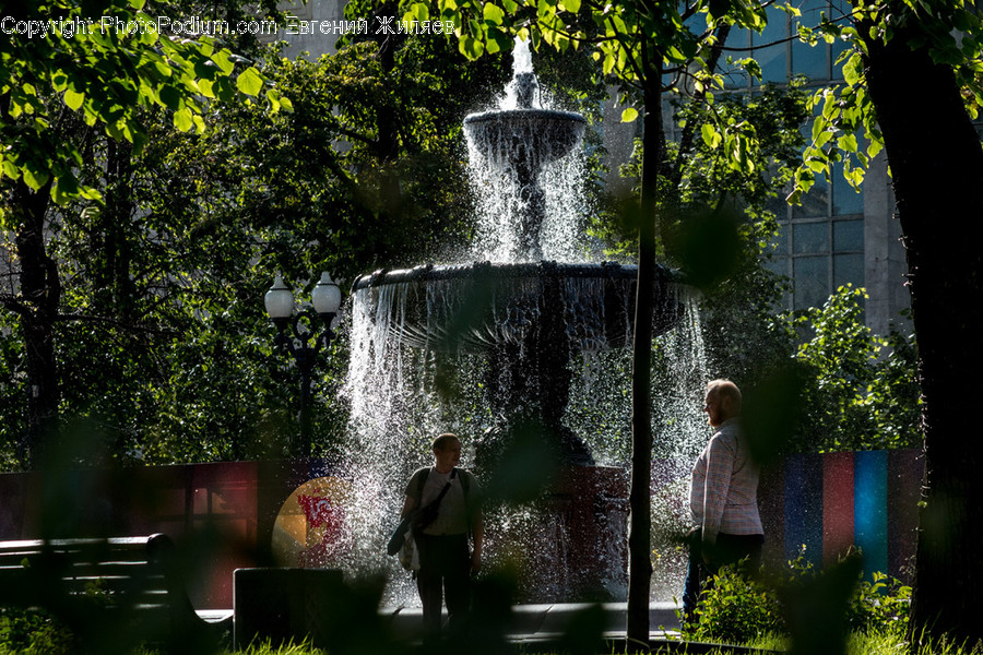 Fountain, Water, Human, People, Person
