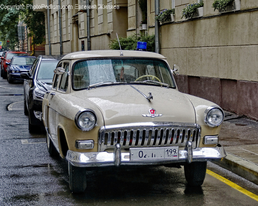 Automobile, Car, Transportation, Vehicle, Parking