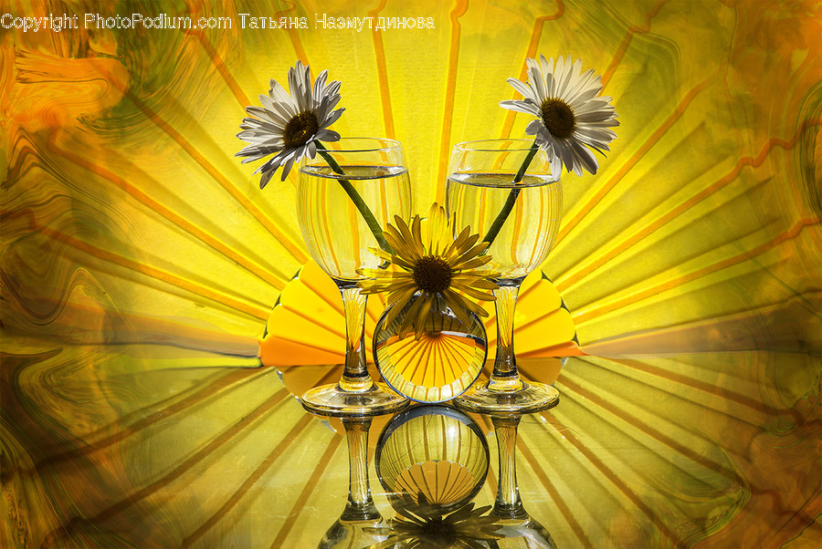 Art, Blossom, Daisies, Daisy, Flora