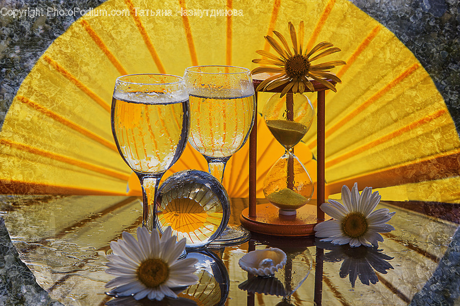 Glass, Goblet, Blossom, Daisies, Daisy