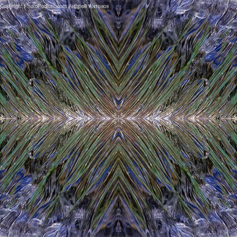 Conifer, Flora, Plant, Tree, Grass