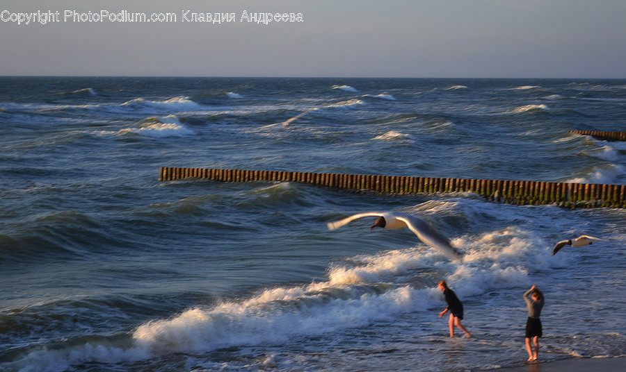 Nature, Ocean, Outdoors, Sea, Water