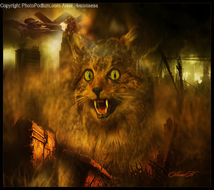 Animal, Lynx, Mammal, Wildlife, Cat
