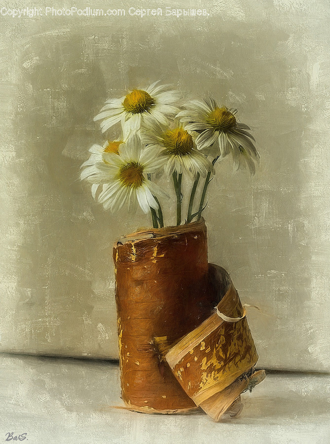 Flora, Jar, Plant, Potted Plant, Pottery