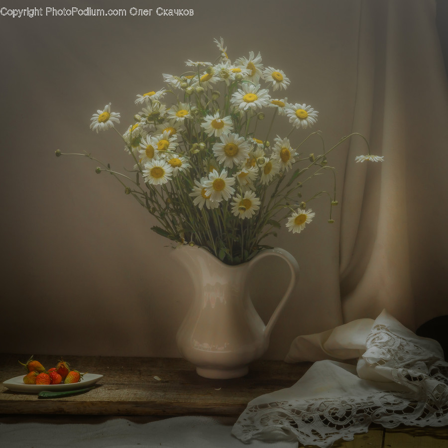 Blossom, Daisies, Daisy, Flora, Flower