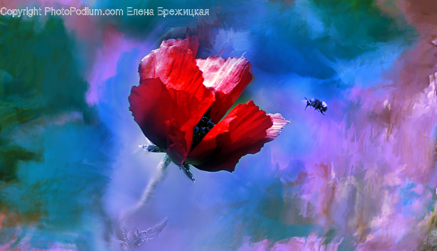 Blossom, Flora, Flower, Geranium, Plant