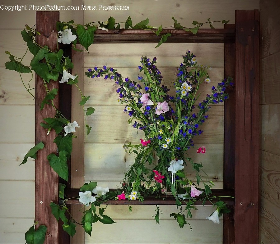 Flora, Jar, Plant, Potted Plant, Pottery