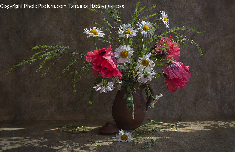 Flora, Jar, Plant, Potted Plant, Pottery
