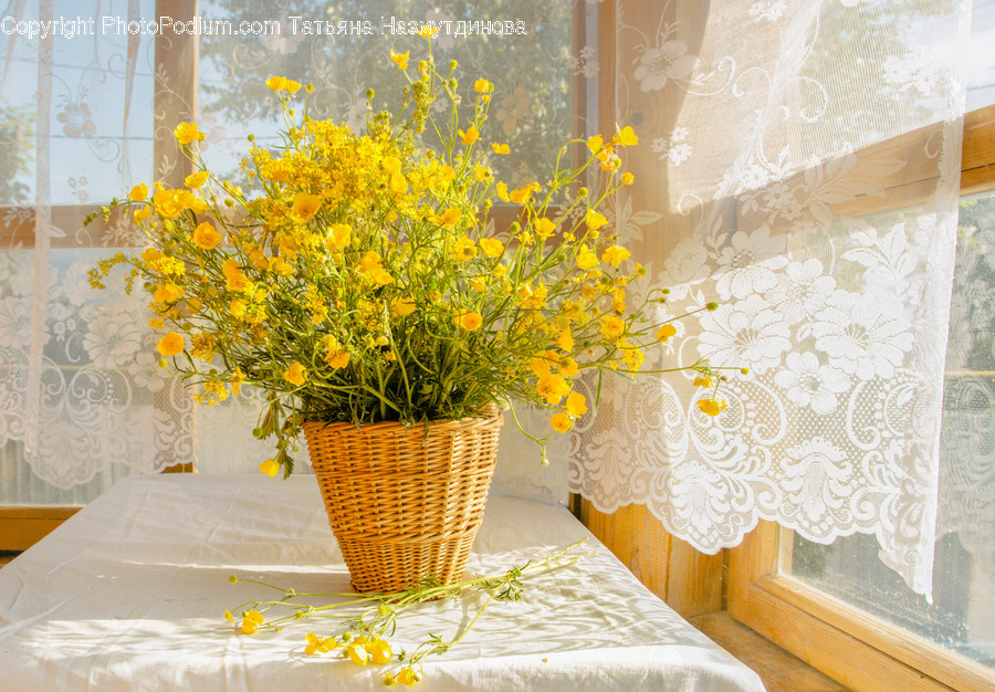 Flora, Jar, Plant, Potted Plant, Pottery