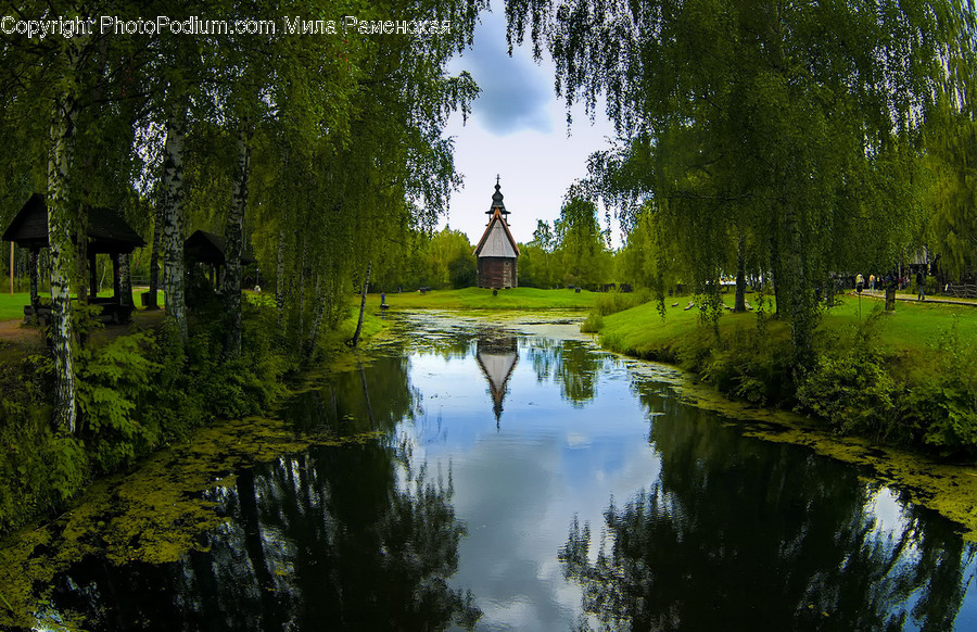 Outdoors, Pond, Water, Canal, Conifer