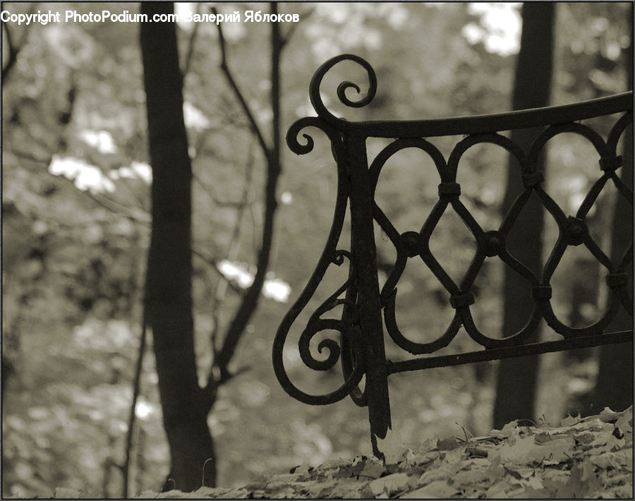 Park Bench, Banister, Handrail, Head, Portrait