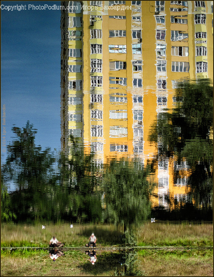 Building, Housing, Apartment Building, City, High Rise