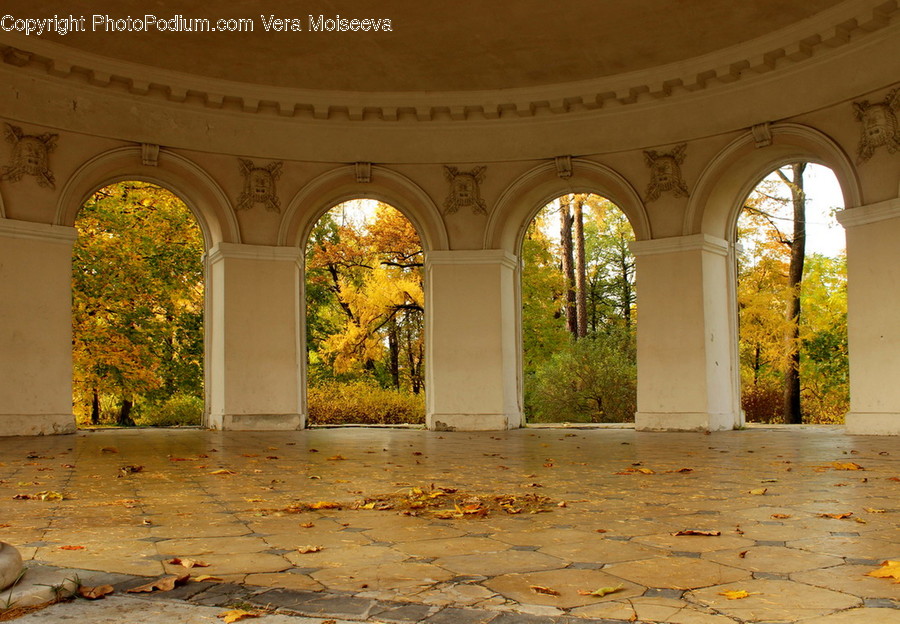 Arch, Arched, Architecture, Building, Patio