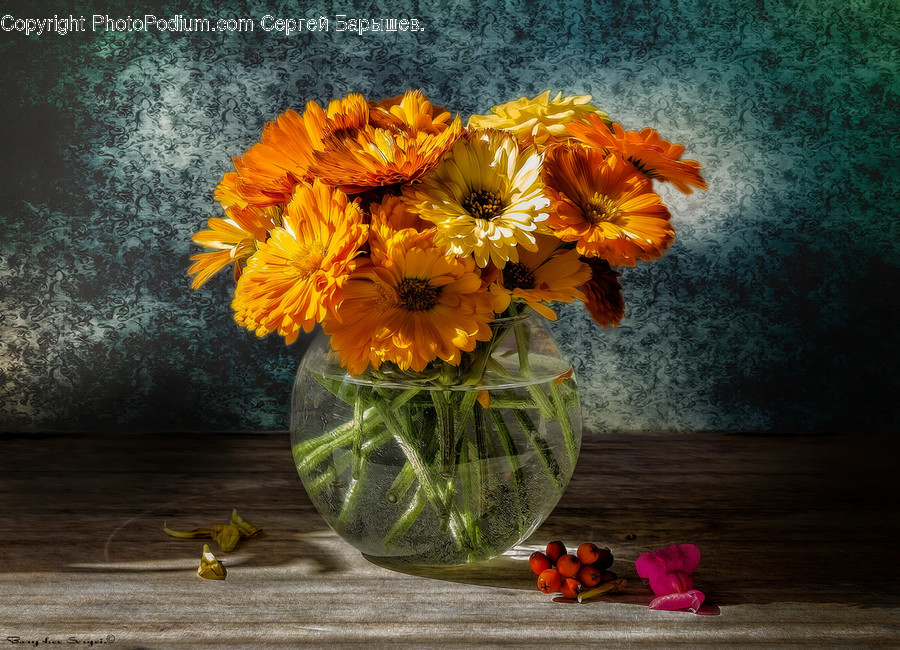 Jar, Pottery, Vase, Blossom, Flora