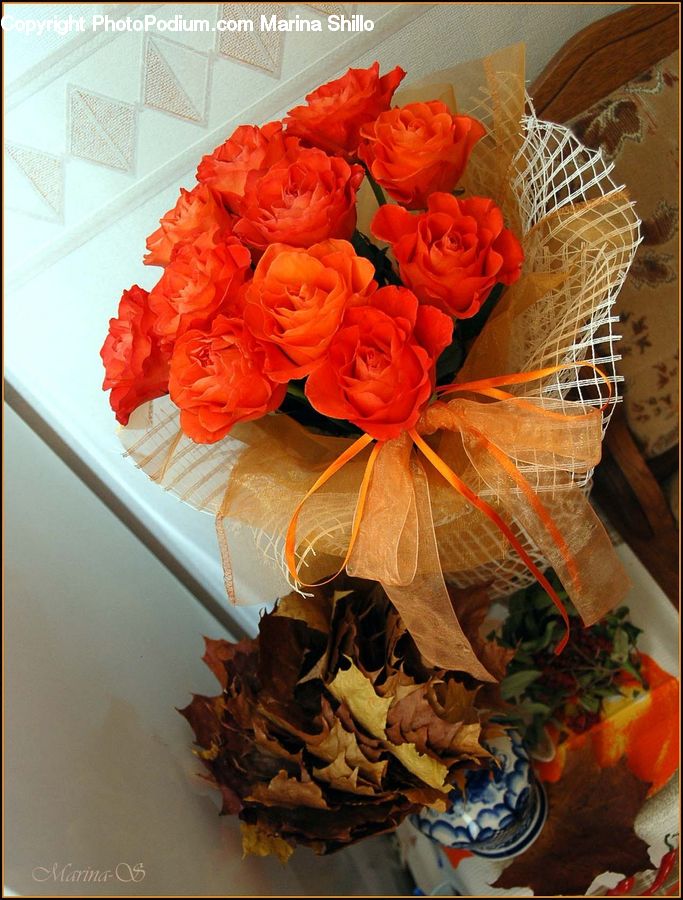 Blossom, Flower, Plant, Rose, Flower Arrangement, Flower Bouquet, Flora