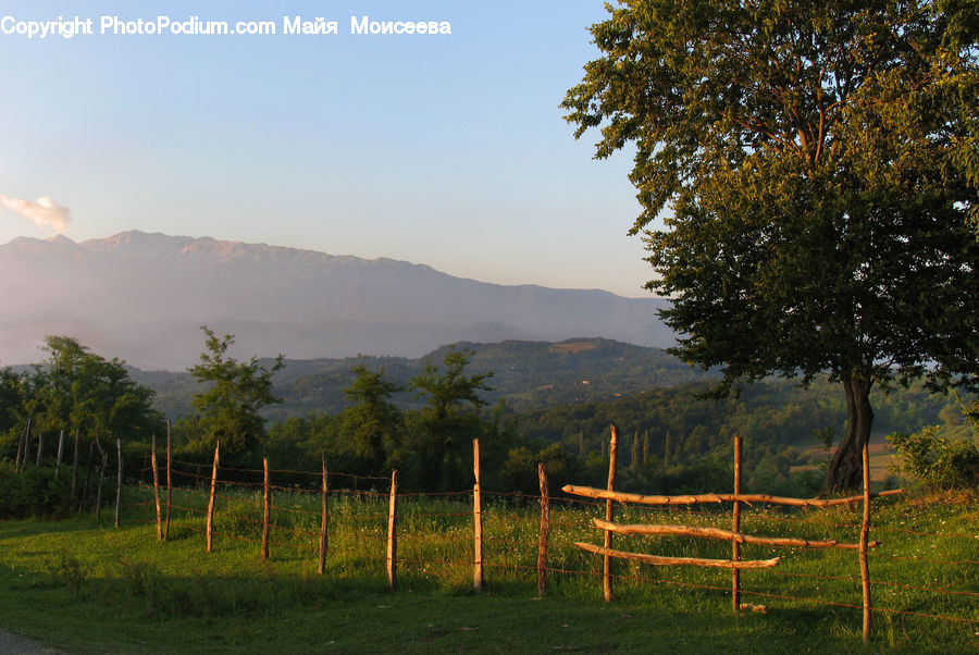 Field, Grass, Grassland, Land, Outdoors, Chair, Furniture