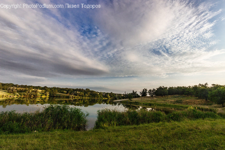 Outdoors, Pond, Water, Field, Grassland