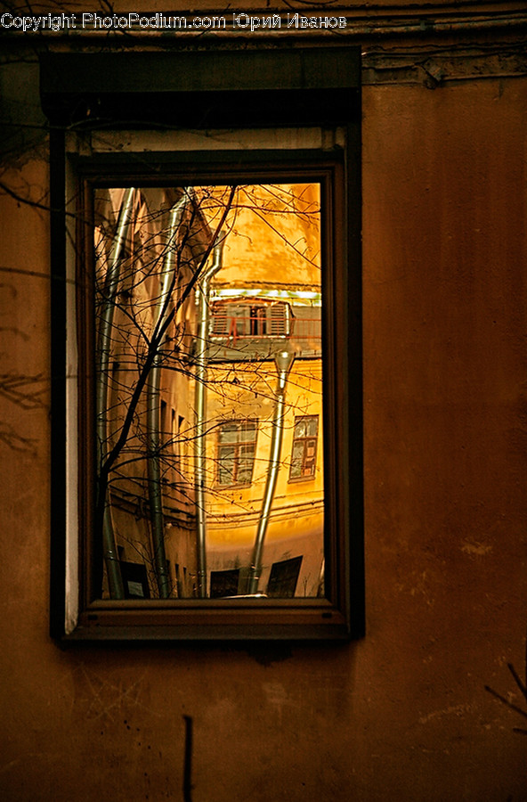 Window
