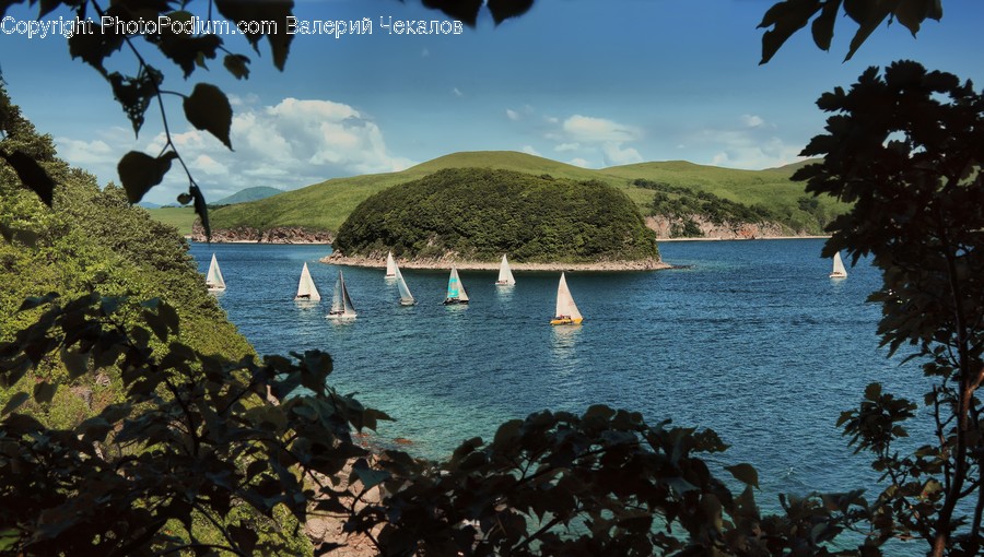 Sailboat, Transportation, Vessel, Watercraft, Coast