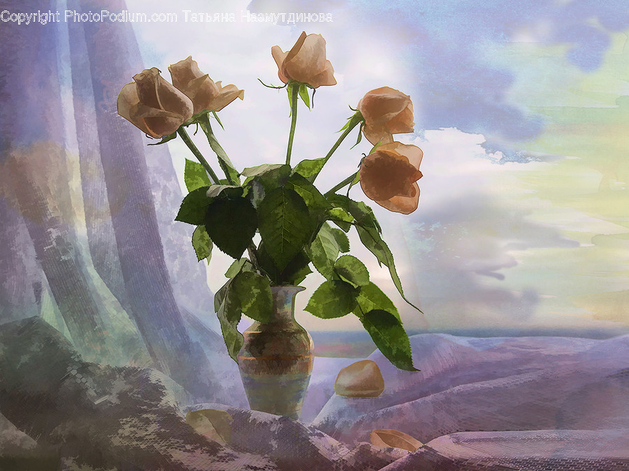 Blossom, Flora, Flower, Plant, Rose