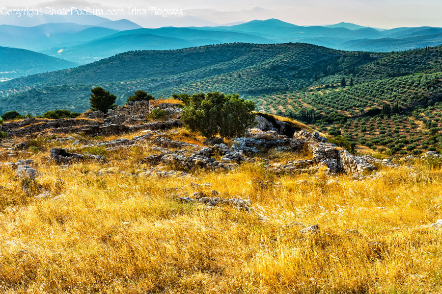 Field, Grassland, Outdoors, Countryside, Nature