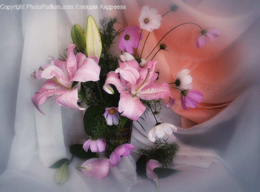 Flora, Jar, Plant, Potted Plant, Pottery