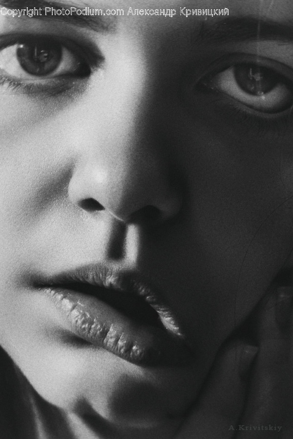 Face, Human, Person, Portrait, Female