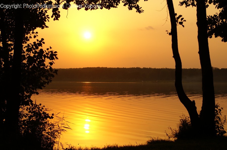 Silhouette, Dawn, Dusk, Nature, Outdoors